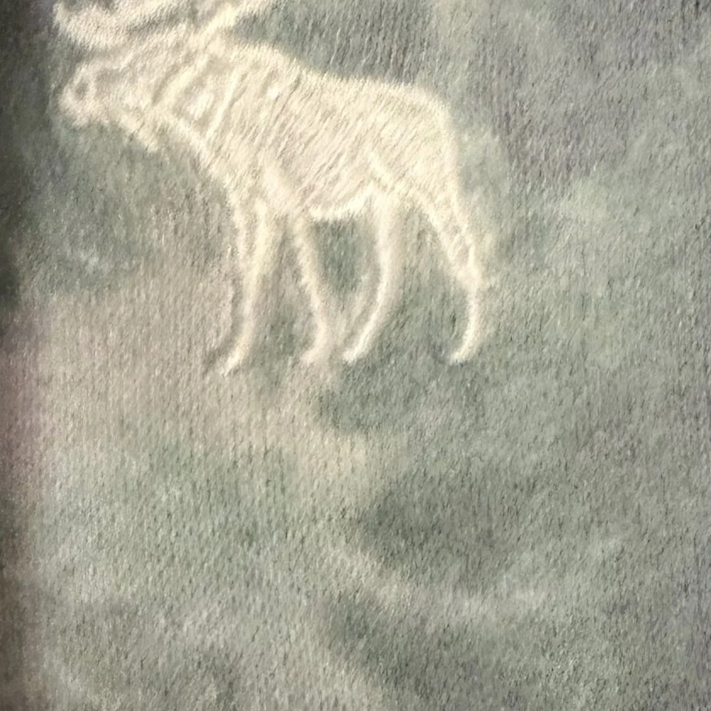 Abercrombie & Fitch Green Tie-Dye Hoodie
